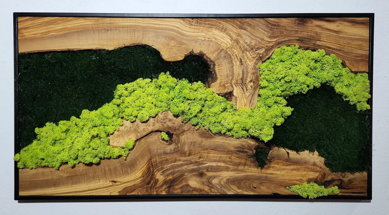 Custom Made Moss and Olive Wood Wall Art Rectangular | Premium Handmade Wall Sculptures