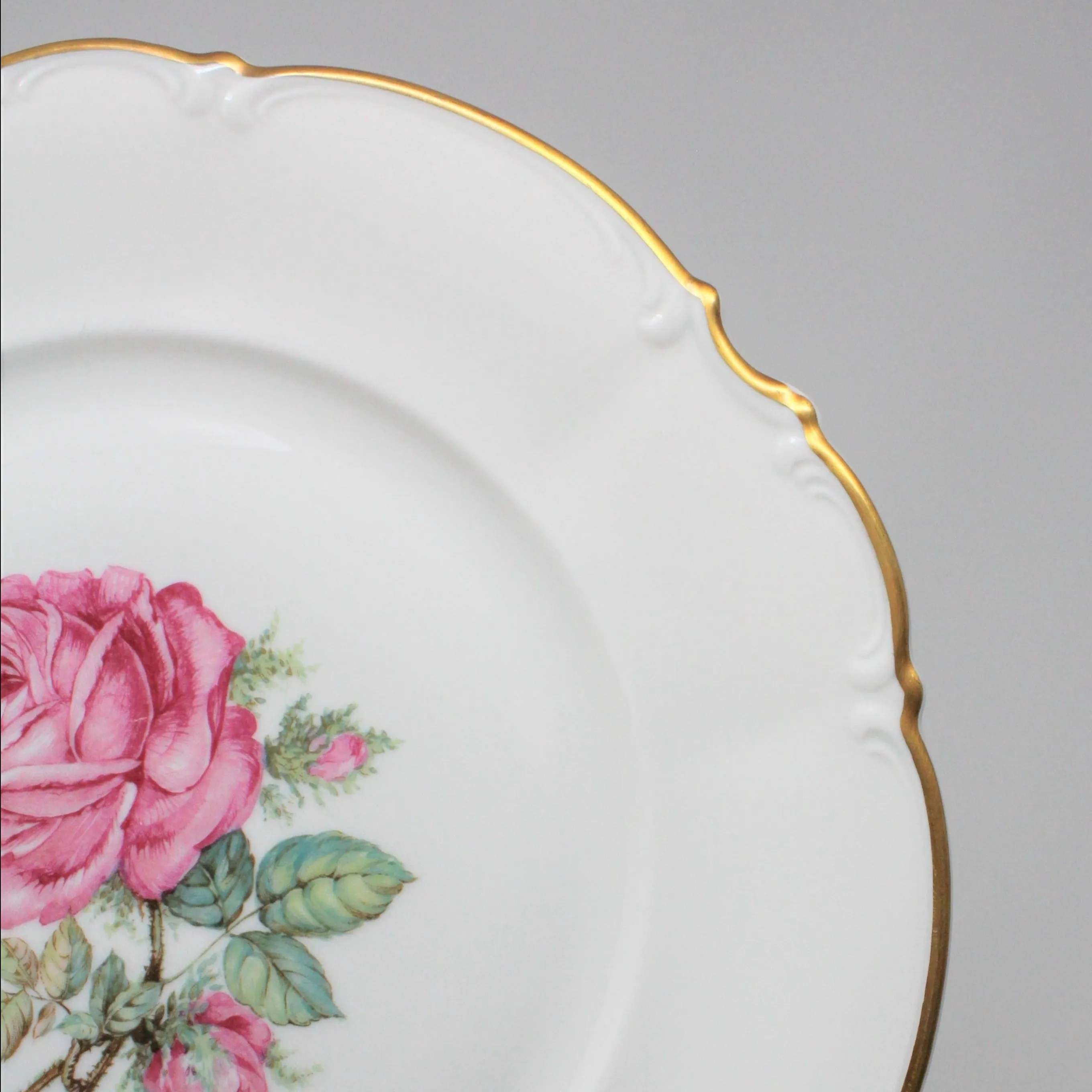 Dinner Plate, Hutschenreuther, The Dundee, Pink Rose, Bavaria, Germany, Vintage