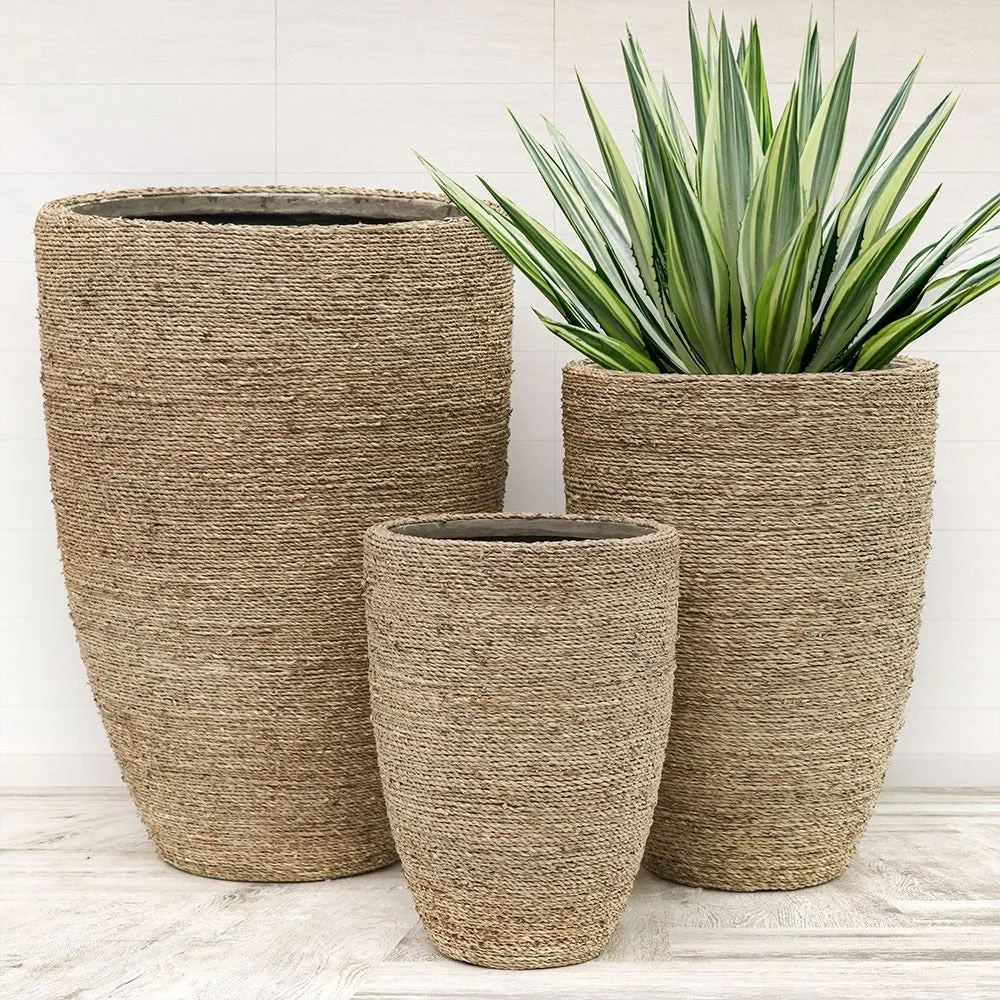 Havana Narrow Taper Indoor Flower Pot Planter Set of Three