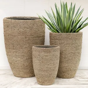 Havana Narrow Taper Indoor Flower Pot Planter Set of Three