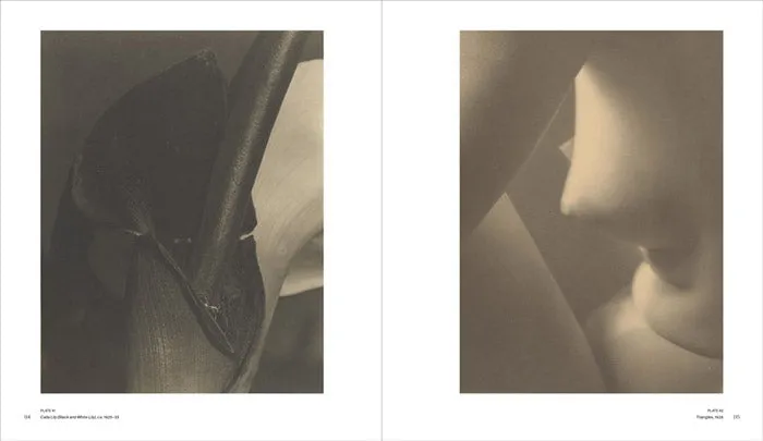 Imogen Cunningham: A Retrospective - Paul Martineau