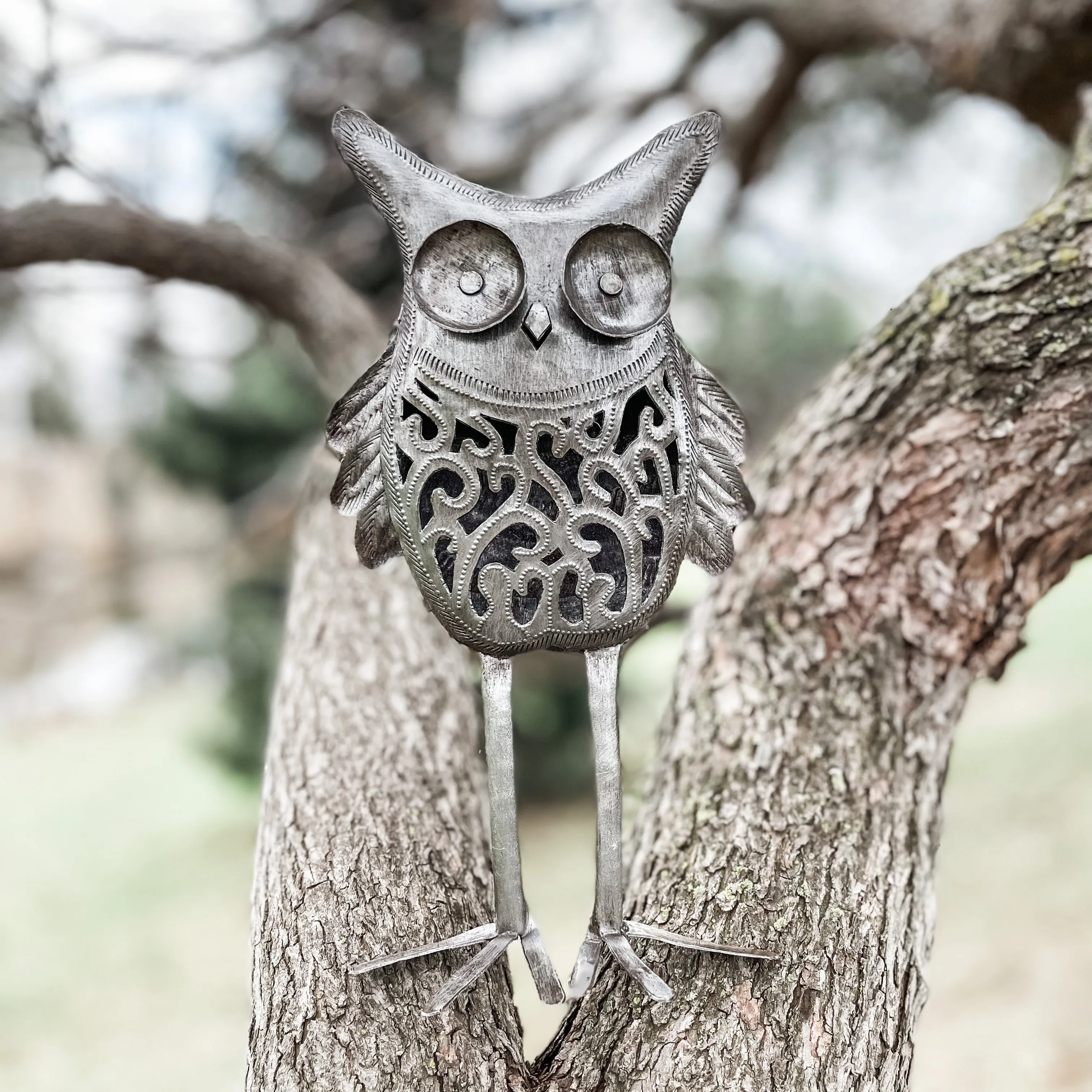 Kooky Owl