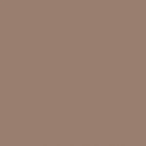 Leather Paint - Mocha