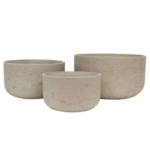 Peak Grey Bowl Indoor Planter Set of Three