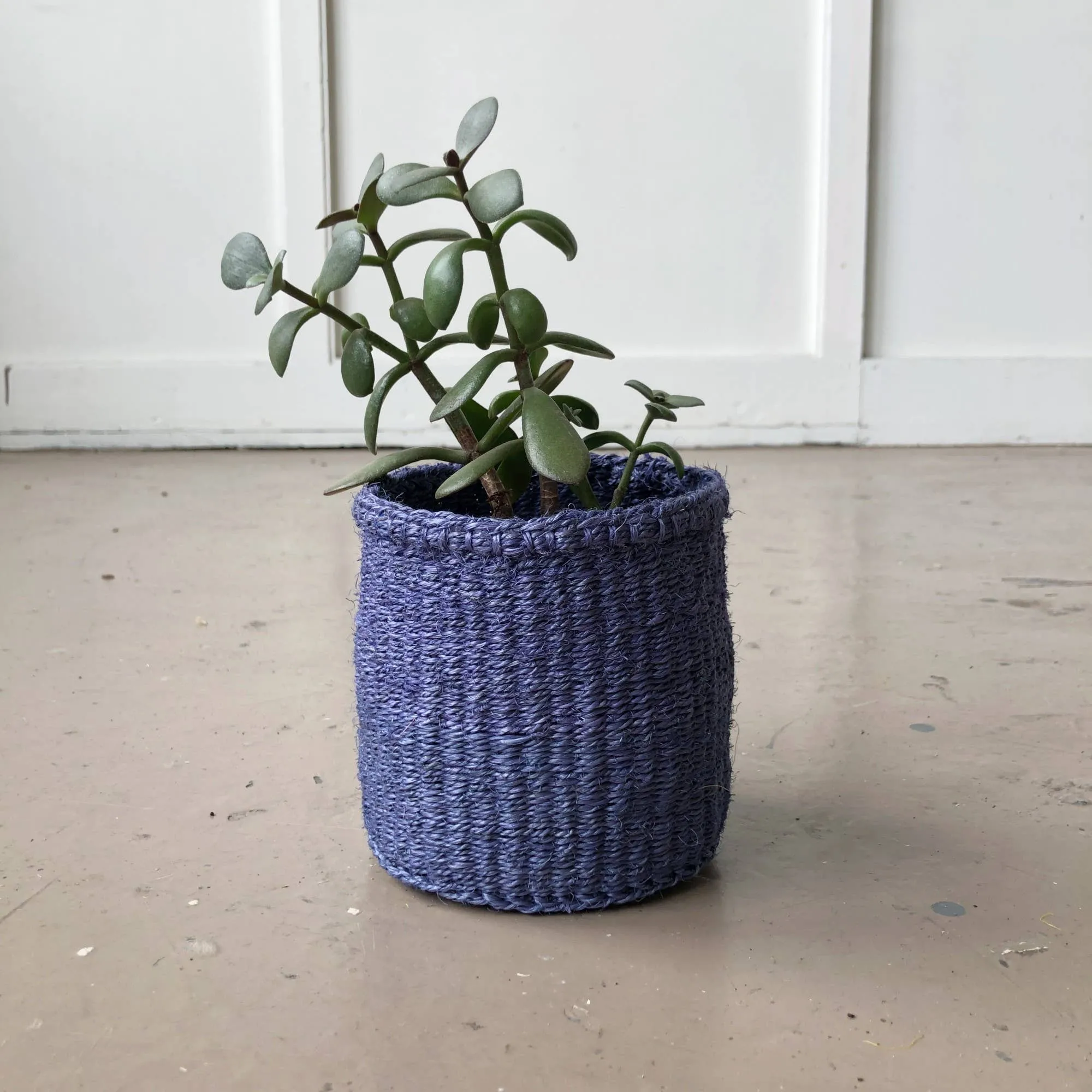 Periwinkle Plant Basket