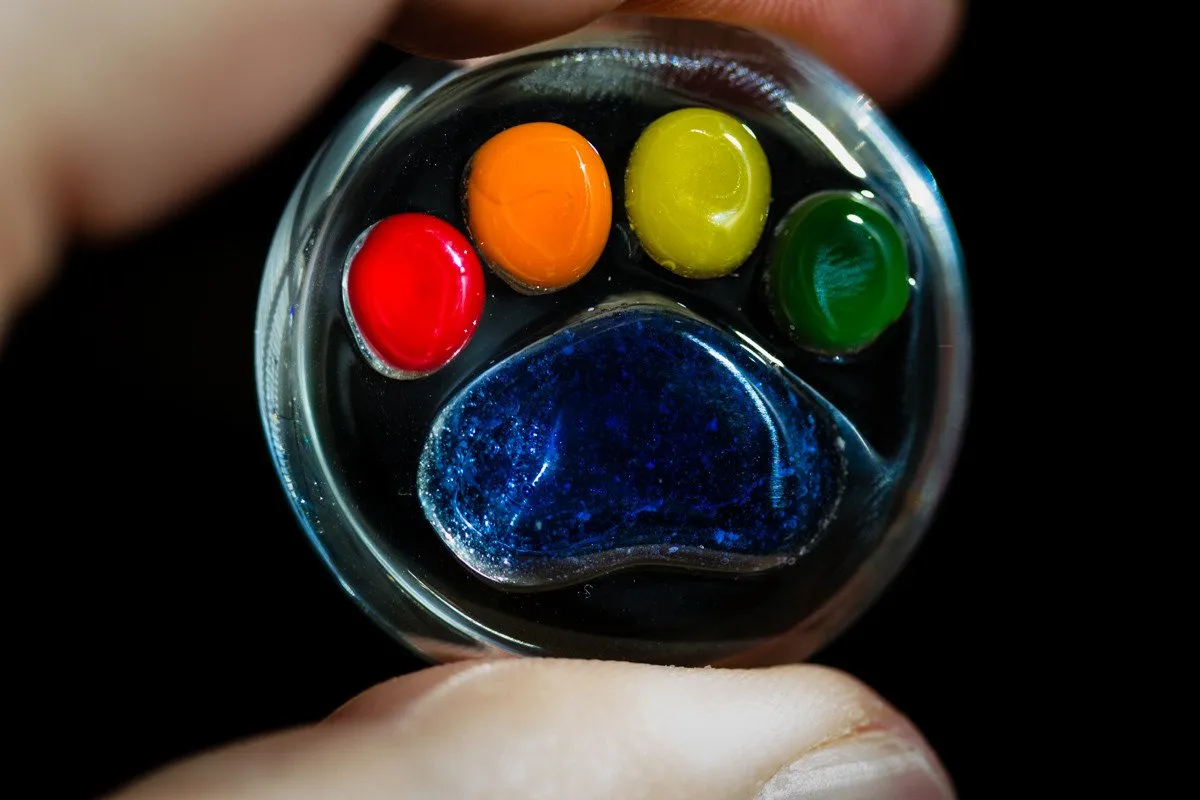 Rainbow's Bridge Paw Print Touch Stones with Cremains