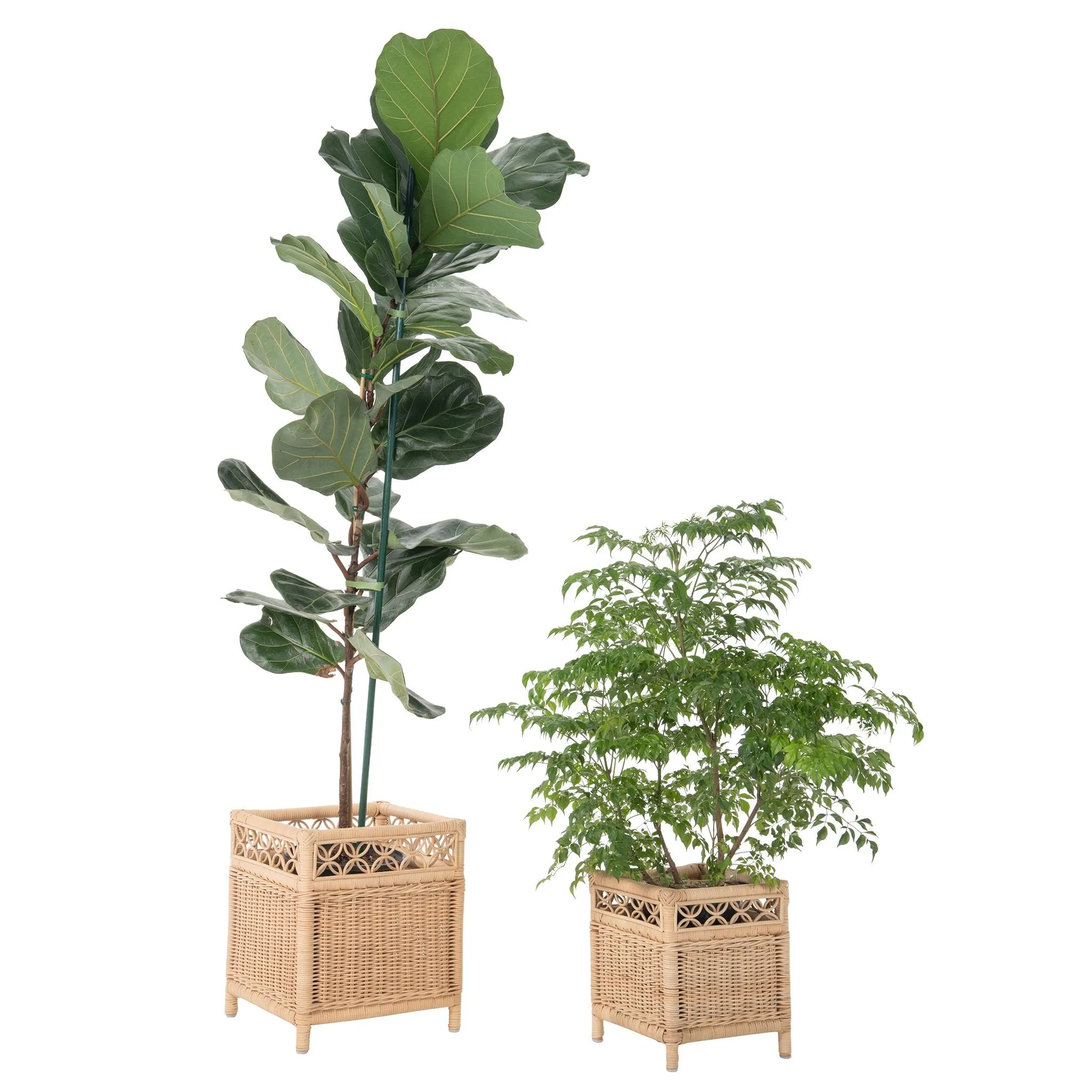 Square Rattan Planter Stand - for Indoor Plants