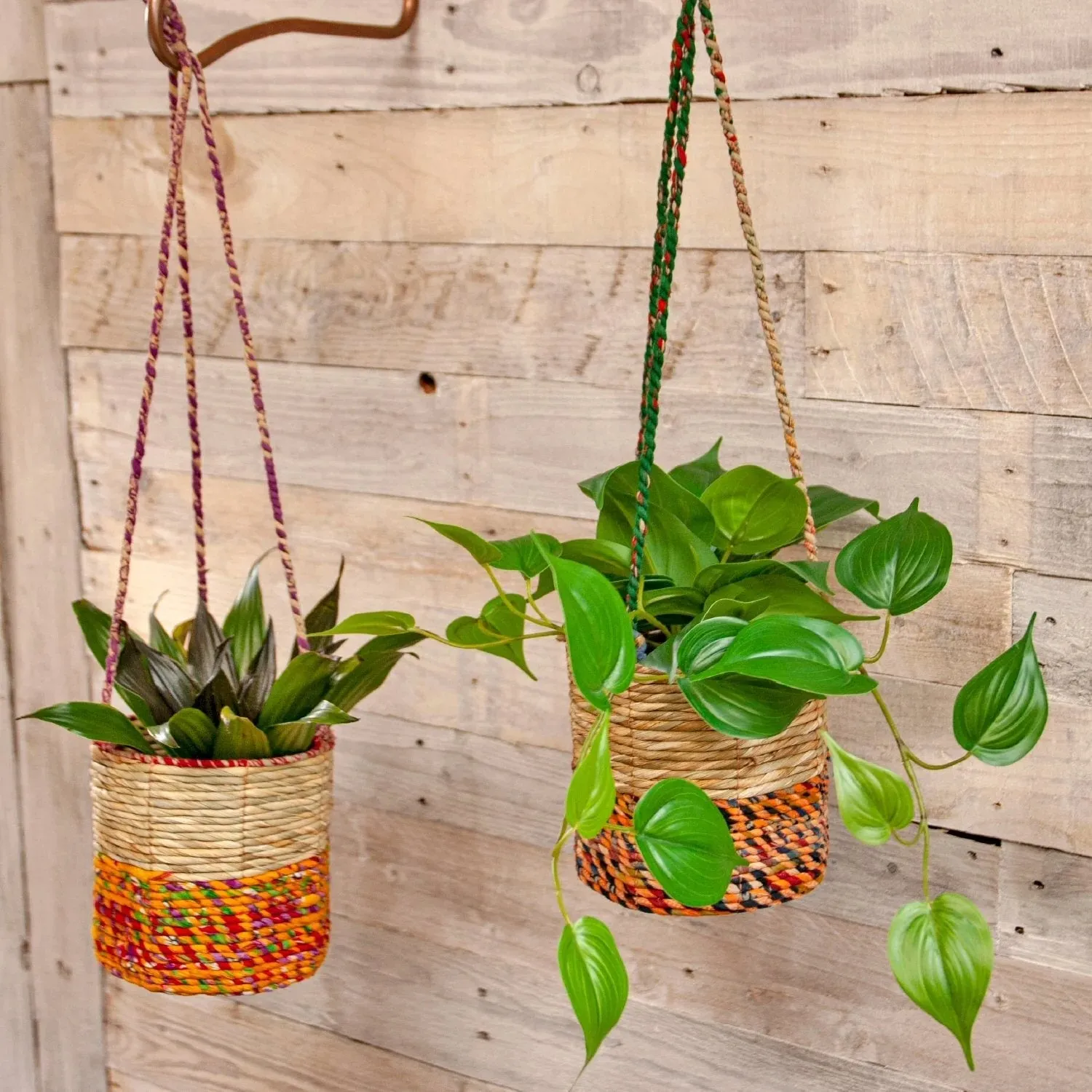 Wildlife World 15cm Medium Cylindrical Artisan Hanging Plant Basket (Assorted Colours)