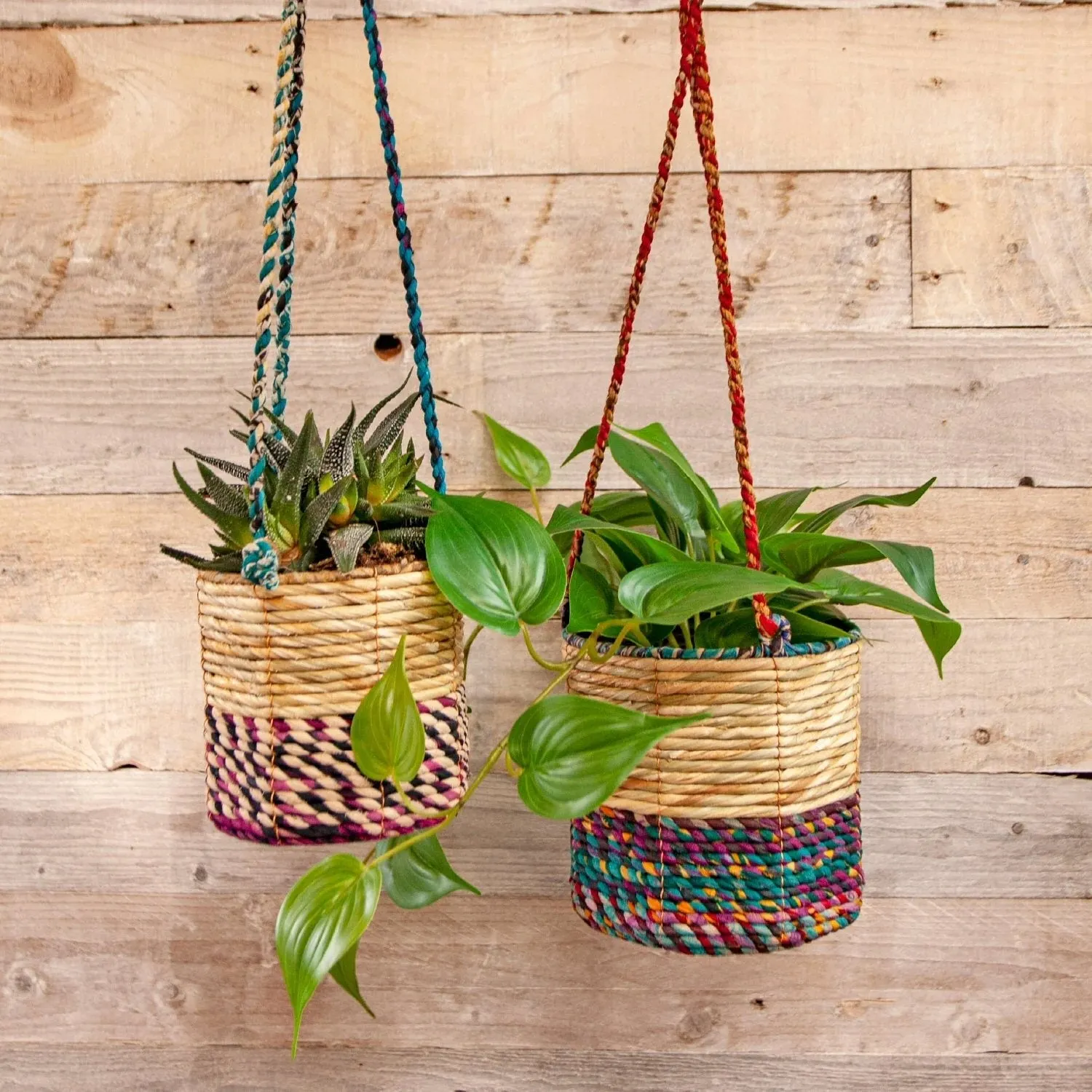 Wildlife World 15cm Medium Cylindrical Artisan Hanging Plant Basket (Assorted Colours)