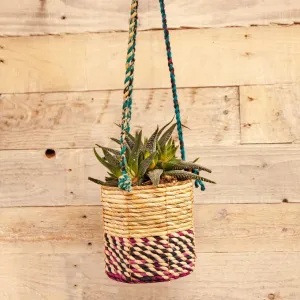 Wildlife World 15cm Medium Cylindrical Artisan Hanging Plant Basket (Assorted Colours)